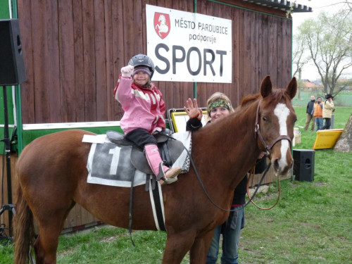 město Pardubice podporuje sport