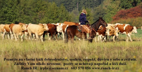 pozvcv